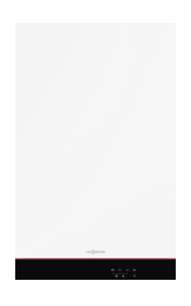 Most Energy Efficient Boilers_Vitodens 100-W System