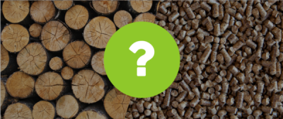 Low-Carbon Future: Is Biomass an Answer?
