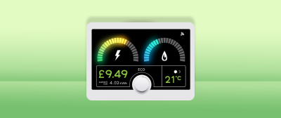 Can Smart Meters Help the Environment?